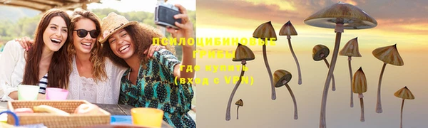 бошки Козельск
