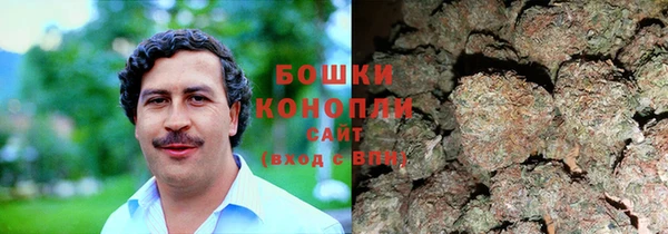 гидропоника Кодинск