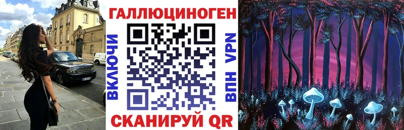 где можно купить   Кораблино  Псилоцибиновые грибы Cubensis 